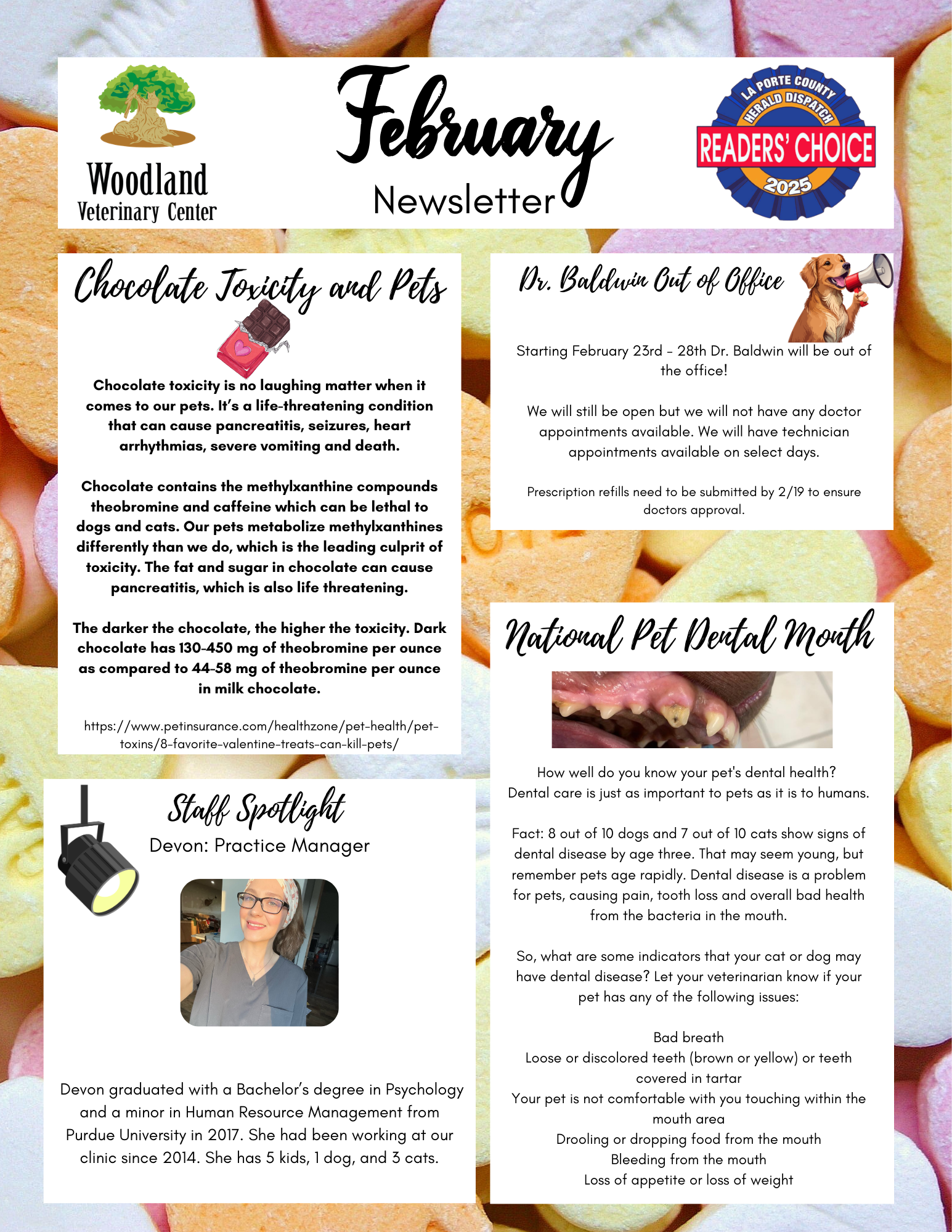 February Newsletter 2026