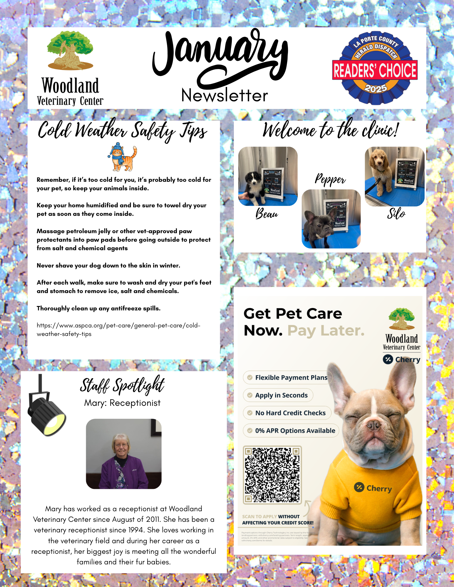 January 2026 Newsletter